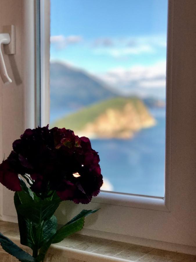 Apartments Violeta Budva Extérieur photo